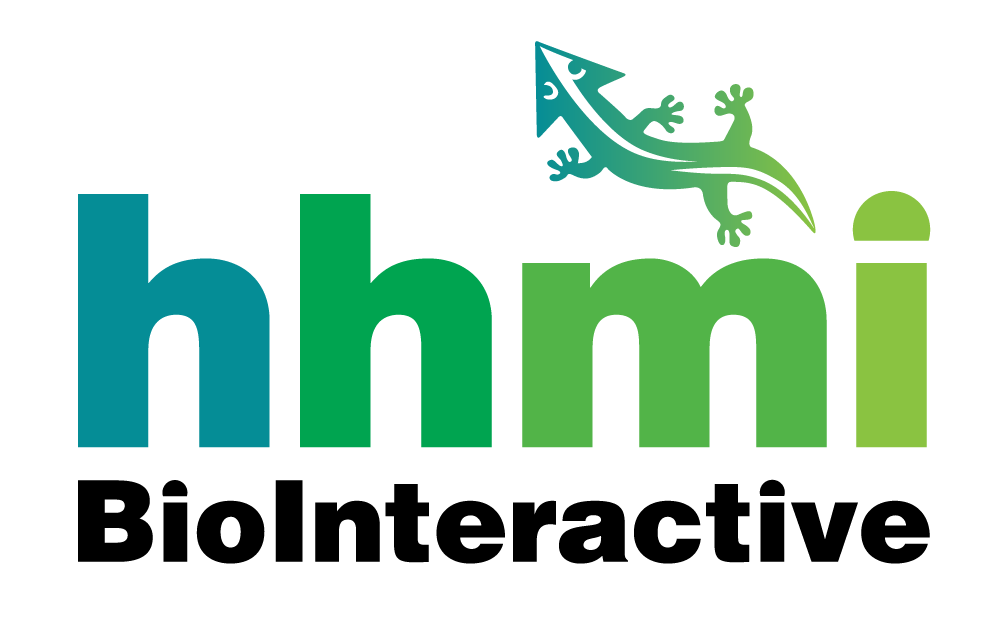 HHMI BioInteractive