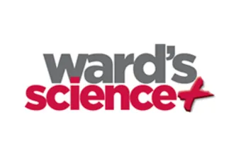 wards-science-16.png